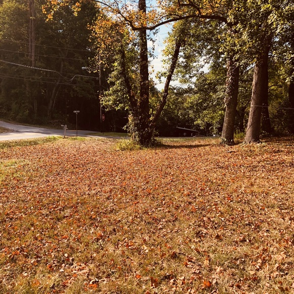 Meet your Posher, Ryanne - Picture 3 of 3